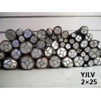 翼航优质线缆厂家直销 YJLV 0.6/1kV 2X25交联聚乙烯绝缘铝芯聚氯乙烯护套电力电缆国标正品