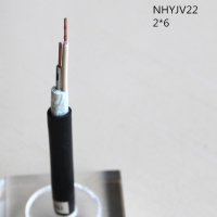 翼航两芯耐火型线缆交联聚乙烯绝缘钢带铠装铜芯聚氯乙烯护套NHYJV22 0.6/1kV 2X6电力电缆厂家直销国标正品