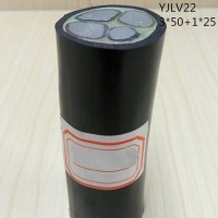 翼航线缆国标正品YJLV22 0.6/1kV 3x50+1x25 铝芯交联聚乙烯...