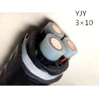 供应翼航YJY 3×10 铜芯交联聚乙烯绝缘聚乙烯护套电力电缆厂家直销国标正品足方足米